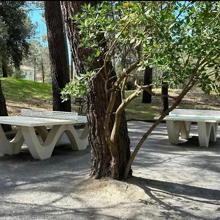 A 2 Pas Ocean Et شقة لاكانو